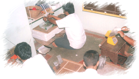 Service Image